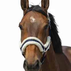 Equithème - Licol nylon Mouton marine/ blanc