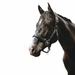 Equithème - Licol Nylon Protector vert