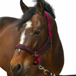 Equithème - Licol nylon Strass bordeaux