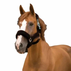 Equithème - Licol Teddy vert/ marron