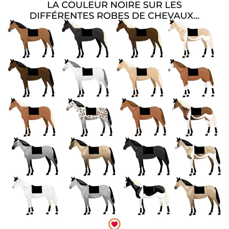 Equithème - Tapis de dressage Satin noir