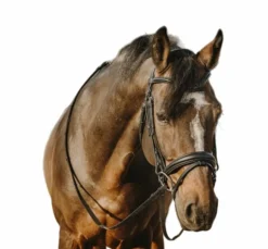 Eric Thomas - Bridon bat noir