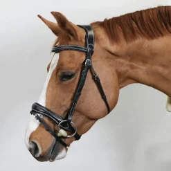 Eric Thomas - Bridon Wave noir