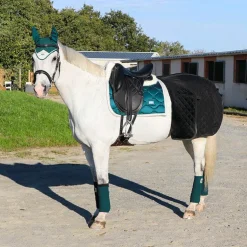 Eric Thomas - Bridon Wave noir