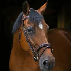 Eric Thomas - Bridon Wave havane