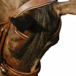 Eric Thomas - Bridon Work havane