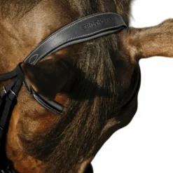 Eric Thomas - Bridon Work noir