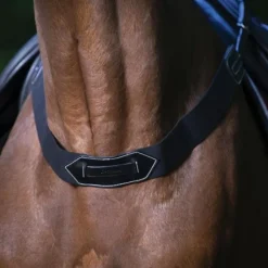 Eric Thomas - Fausse bricole élastique Pro