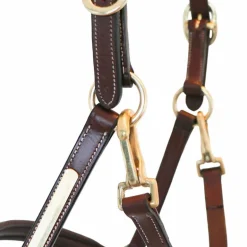 Eric Thomas - Licol cuir Grooming havane