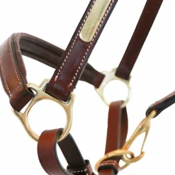 Eric Thomas - Licol cuir Grooming havane