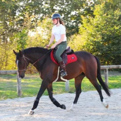 Eric Thomas - Muserolle bitless havane