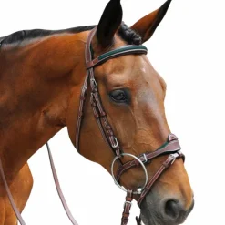 Flags & Cup - Bridon combiné Paris avec rênes marron/ vert
