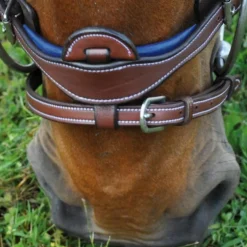 Flags & Cup - Bridon combiné Paris avec rênes marron/ bleu