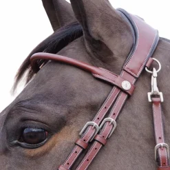 Flags & Cup - Bridon Madrid marron