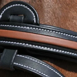 Flags & Cup - Bridon Oslo avec rênes noir