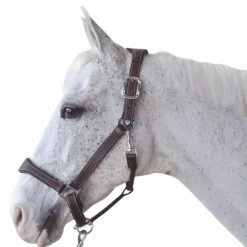 Flags & Cup - Licol cheval Cuir Paris marron/marine