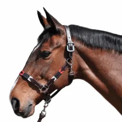 Flags & Cup - Licol Chukka moka / bleu / rouge