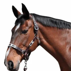 Flags & Cup - Licol Chukka moka / choco / taupe