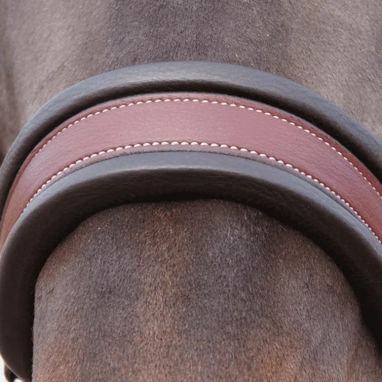 Flags & Cup - Licol Comfort marron