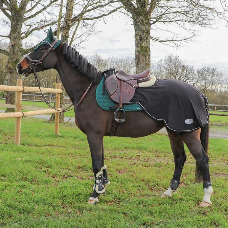 Flex On - Stickers Flex On Silver vert anglais