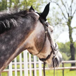 Freejump - Bonnet pour cheval Noir / Rouge