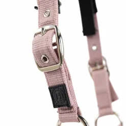 Harcour - Ensemble licol et longe Amour pivoine