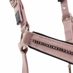 Harcour - Ensemble licol et longe Amour pivoine