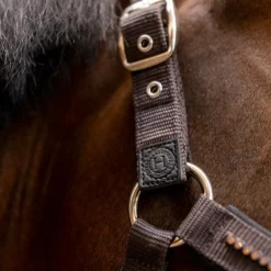 Harcour - Ensemble licol et longe Amour cacao