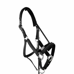 Harcour - Ensemble licol et longe Amour noir