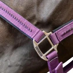 Harcour - Ensemble licol et longe Amour figue