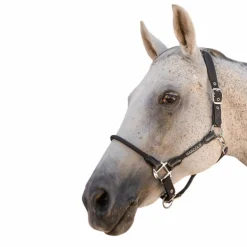 Harcour - Licol pour chevaux Honey noir