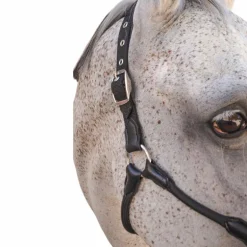 Harcour - Licol pour chevaux Honey noir