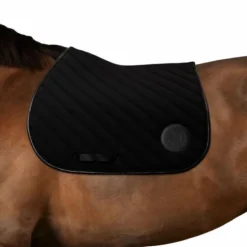 Harcour - Tapis de selle Balthazar noir