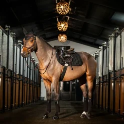 Horseware - Bonnet pour chevaux Amigo noir