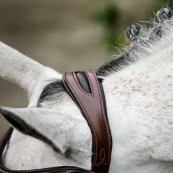 Horseware - Bridon Cavesson marron