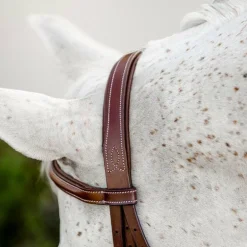 Horseware - Bridon Cavesson Hunter Pony avec rênes dark tan