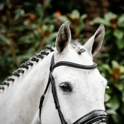 Horseware - Bridon Diamante Flash noir/ noir