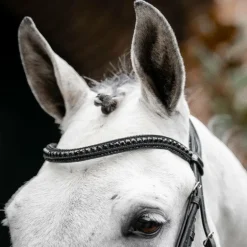 Horseware - Bridon Diamante Flash noir/ noir