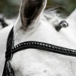 Horseware - Bridon Diamante Flash noir/ noir
