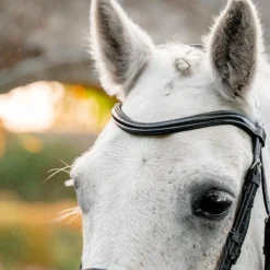 Horseware - Bridon Dressage Pony Flash noir