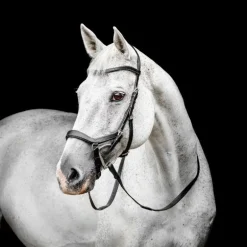 Horseware - Bridon Micklem Competiton noir