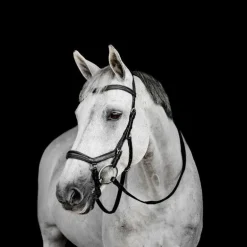 Horseware - Bridon Micklem Deluxe Competition noir