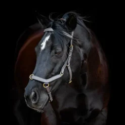 Horseware - Bridon Rambo Micklem multibride noir