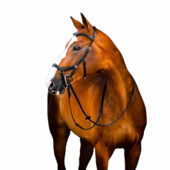 Horseware - Bridon Rambo Micklem 2 Deluxe Competition noir