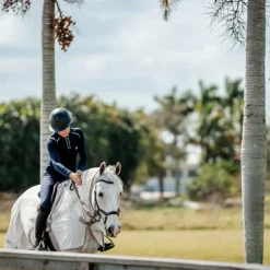 Horseware - Chemise anti-mouches de monte Amigo Flyrider argent/ titanium grey/ argent