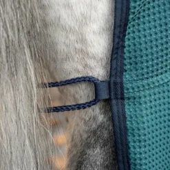 Horseware - Chemise séchante Rambo Techni Waffle dynasty green/ marine/ argent