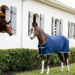 Horseware - Chemise séchante Amigo Jersey Pony marine/ titanium grey/ argent