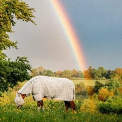 Horseware - Couverture anti-mouches Newmarket Plus witney charcoal