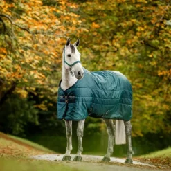 Horseware - Couverture de box Amigo Ripstop Insulator dynasty green/ marine/ argent 350g
