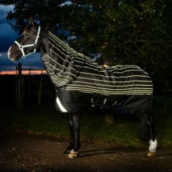 Horseware - Couverture d'extérieur Amigo FieldSafe Reflectech Plus Turnout noir 250g